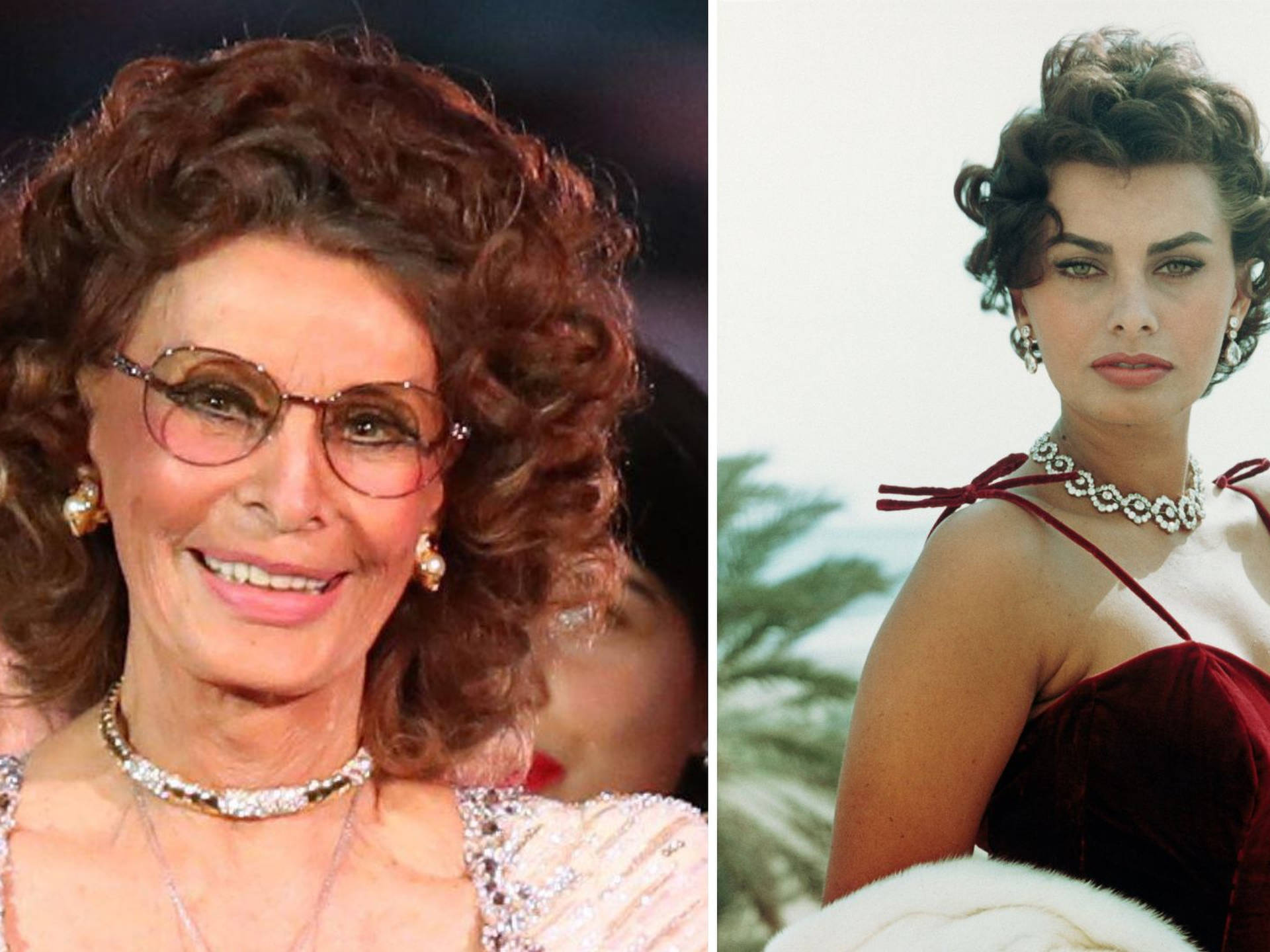 Sophia Loren Hospitalized After Fall, Has Several Fractures