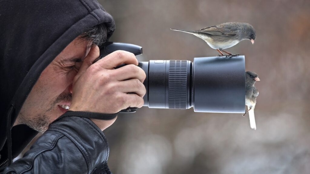 Wildlife Photographer