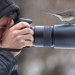 Wildlife Photographer