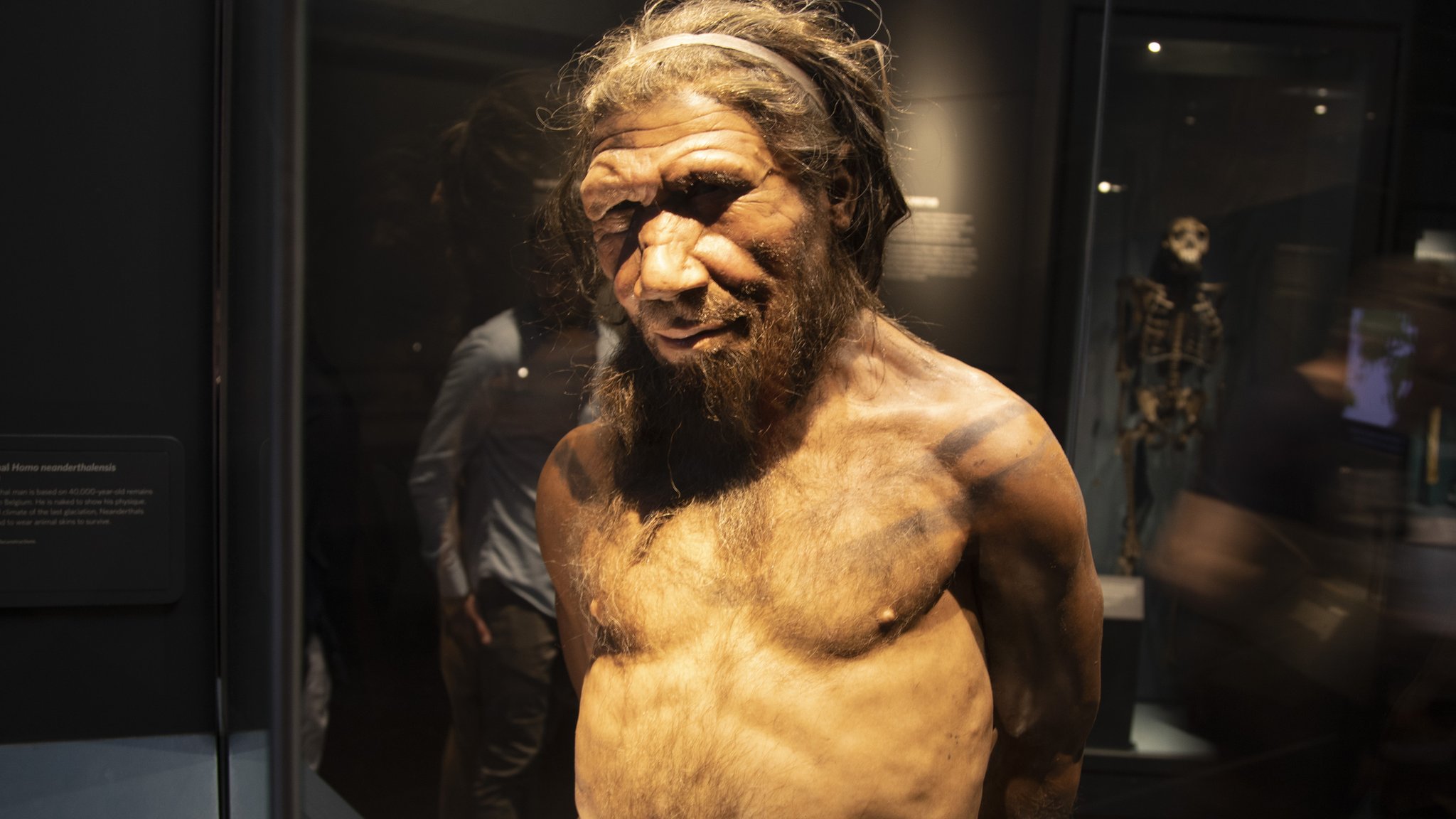 Arte del hombre de Neandertal: Desentrañando la Creatividad Prehistórica